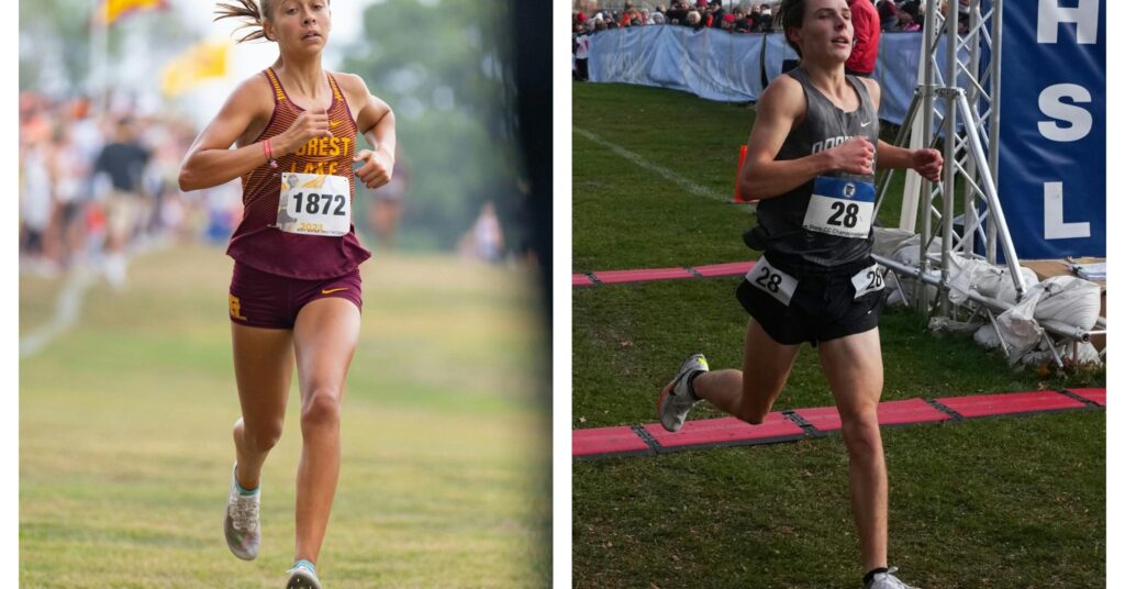 Forest Lake’s Norah Hushagen and Roseville’s Robert Mechura repeat as Class 3A cross-country champions Cvaovv2vw5gi5llyxueclyyhvi.jpg
