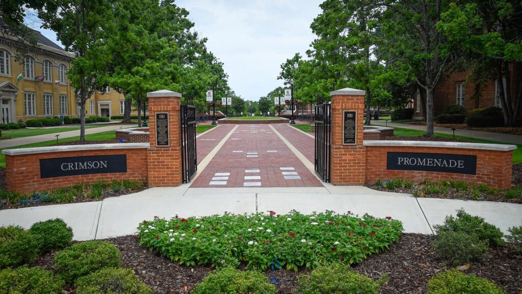 Staff with new roles at the University of Alabama earn a combined $794,000 R7kgozz4cfghflvj4k7ovodi3m.jpg