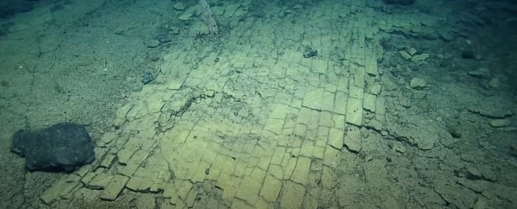 Scientists Found a ‘Yellow Brick Road’ at The Bottom of The Pacific Ocean : ScienceAlert Yellowbrickroadseenbynautilus.jpeg