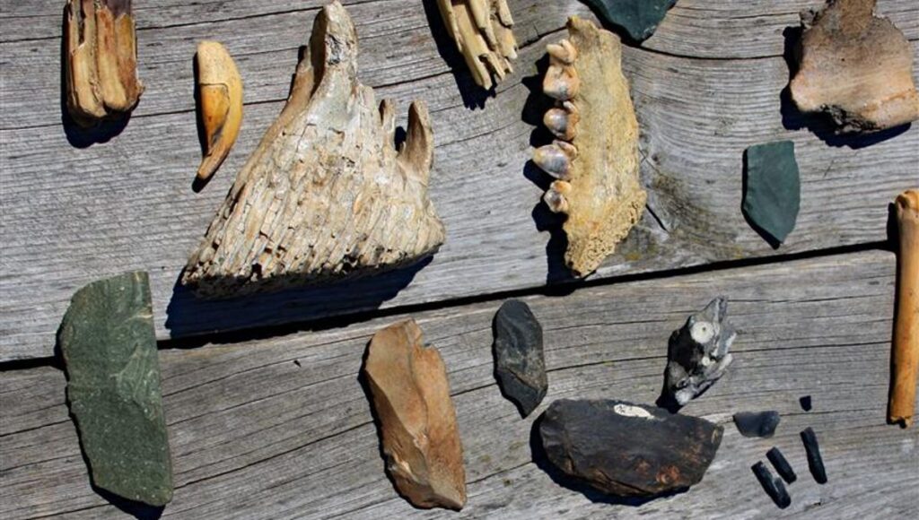 Artifacts From Denisova Cave Meta.jpg