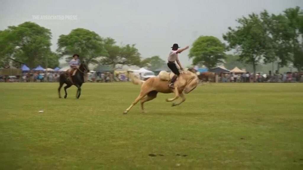 Argentines celebrate Tradition Day showcasing the gaucho culture Urlhttps3a2f2fassets.apnews.com2ff52f4a2f89a7985607249eff7ce14e71269a2farg Tradition Day 20.jpeg
