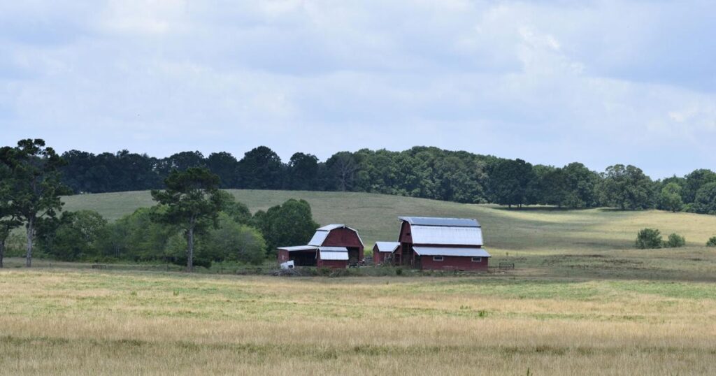 More adults in rural America are dying from cardiovascular diseases | Lifestyle 674f3f65be7dc.image .jpg