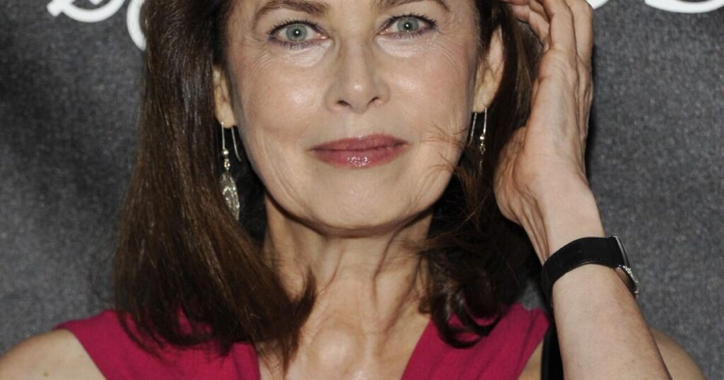 The Lufkin Daily NewsTrailblazing model Dayle Haddon dies from suspected carbon monoxide poisoningA trailblazing former “Sports Illustrated” model who pushed back against age discrimination has died in a Pennsylvania home from what….19 hours ago 67705b9c33639.image .jpg