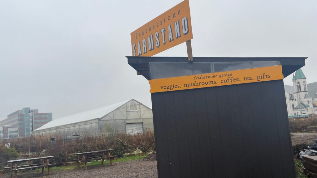 U-M buys Detroit urban garden site for future parking structure 76861573007 Arm 1.jpg