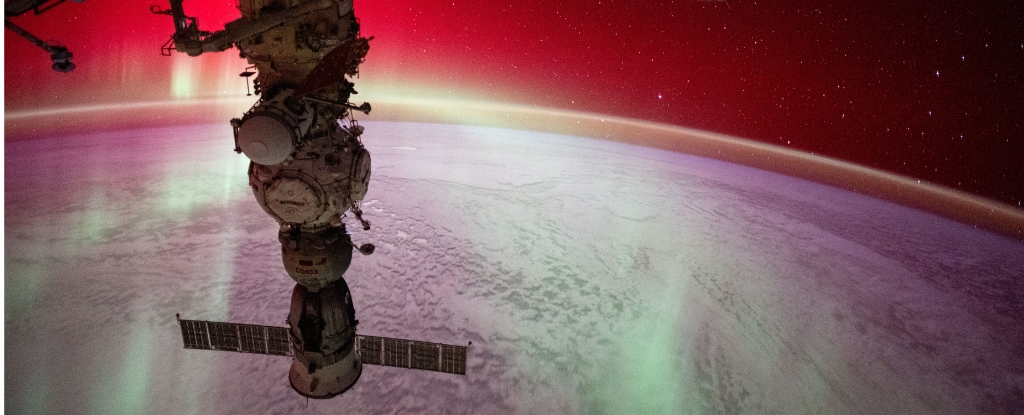 Astronauts Share Most Breathtaking Images of Earth From Space in 2024 : ScienceAlert Aurorafromiss2024.jpg