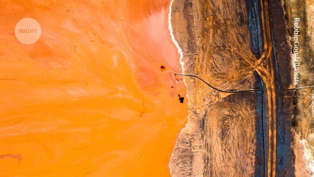 NatureGreen steel, thunderstorms and next-generation gene editing: a year of remarkable scienceHighlights from News & Views published in 2024..1 day ago D41586 024 04119 1 50277224.jpg