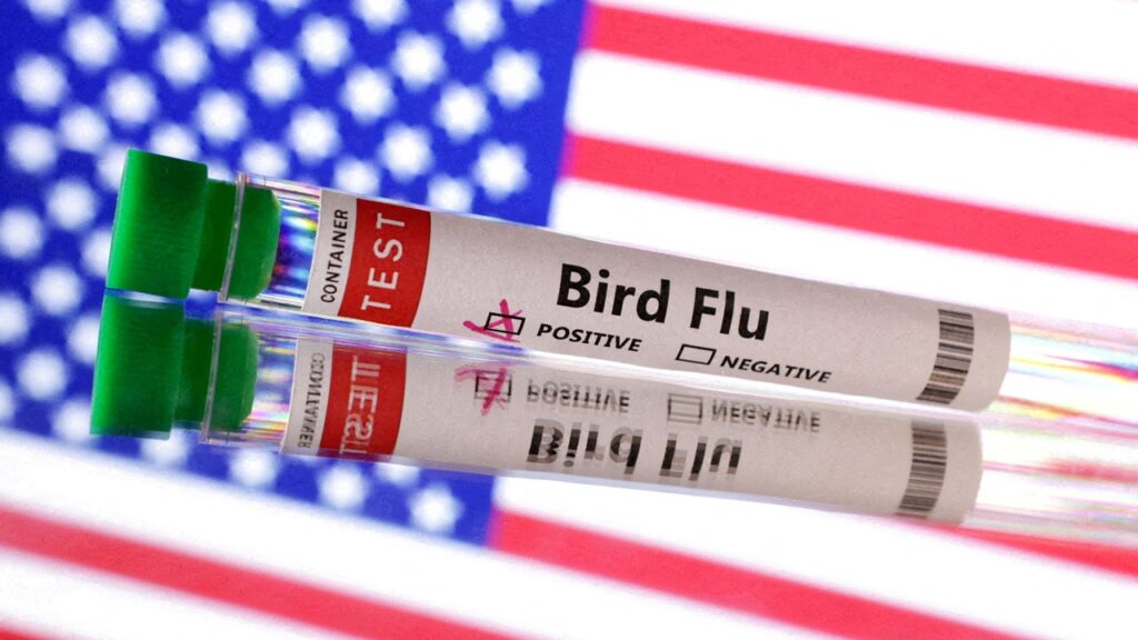 First Severe Case Of Bird Flu In Us.jpg