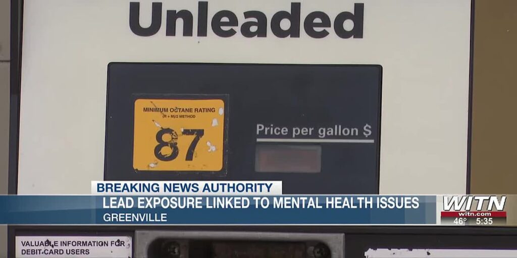 WITNNew study finds lead gasoline linked to mental health issuesNew study finds lead….6 hours ago Https3a2f2fdo0bihdskp9dy.cloudfront.net2f12 06 20242ft 7505be9e2e094e12895e6fe7b473908c Name Fi.jpeg