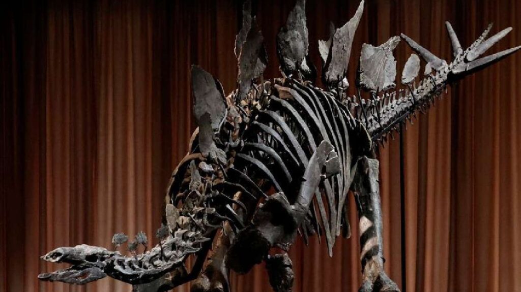 Responsive Story Lg.jpeg