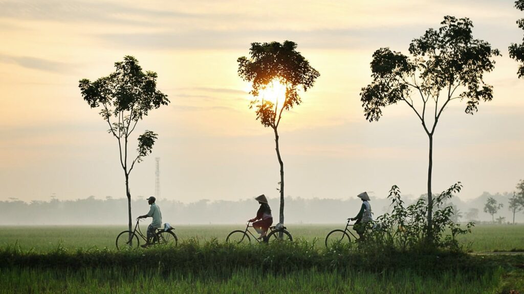Heat and health Unsplash Dikaseva Cycling Is Climate Action.tmb 1200v.jpg