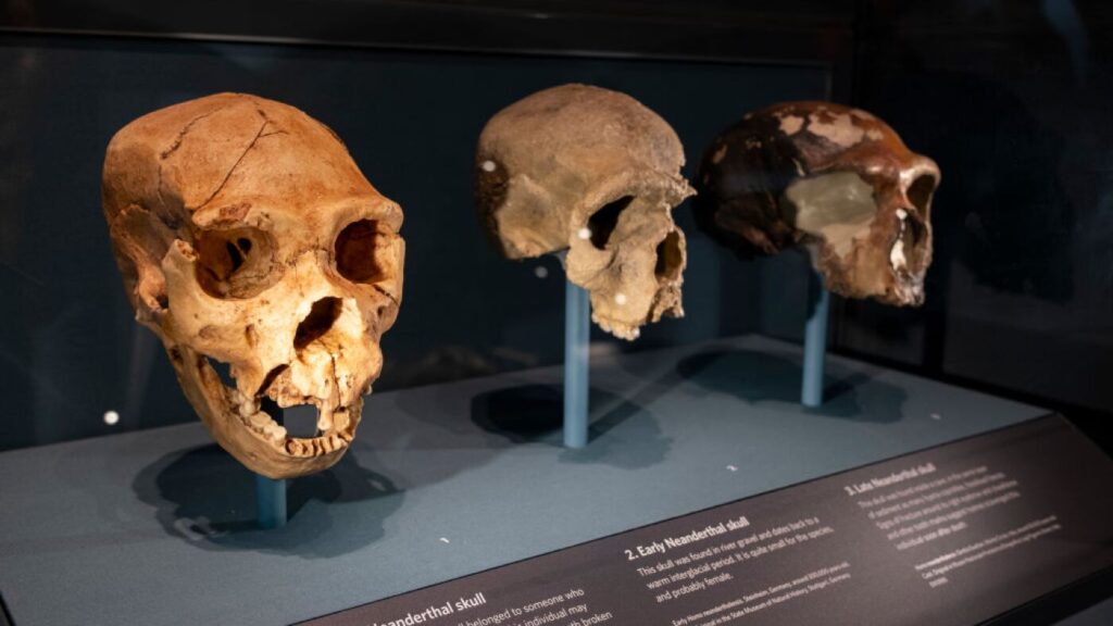 Urlhttp3a2f2fnpr Brightspot.s3.amazonaws.com2f532fe42ff606c3de4f08b3f14a80efdea82f2fgettyim.jpeg