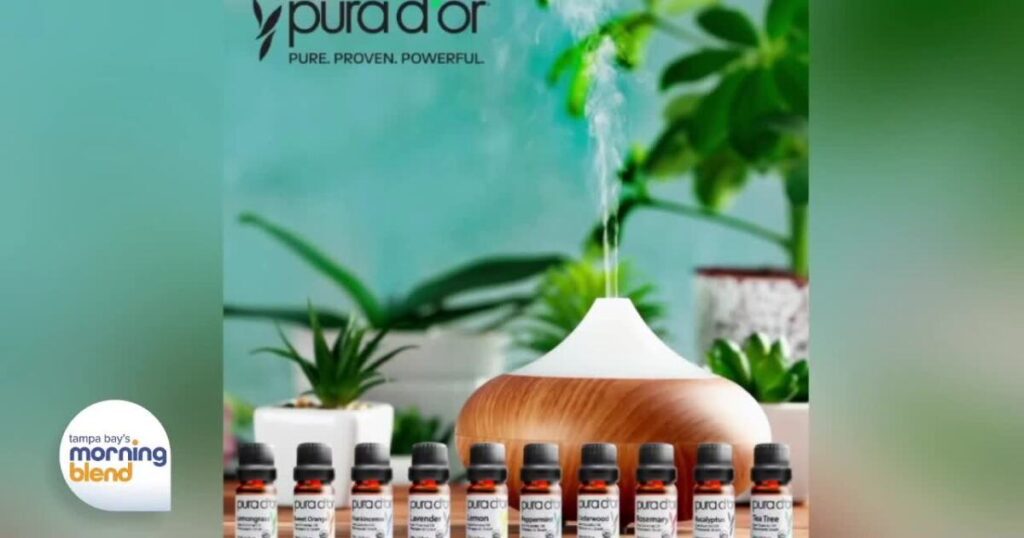 Last-Minute Holiday Gift-Giving Ideas With Lifestyle Expert Yesi de Avila Urlhttps3a2f2fx Default Stgec.uplynk.com2fausw2fslices2f1c92f45bf940c346f431c9be273b8942ab6.jpeg