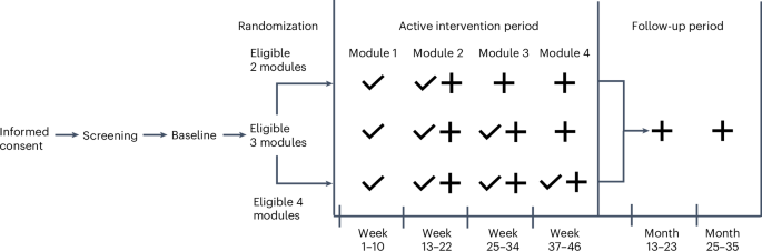 An online multidomain lifestyle intervention to prevent cognitive decline in at-risk older adults: a randomized controlled trial 41591 2024 3351 Fig1 Html.png