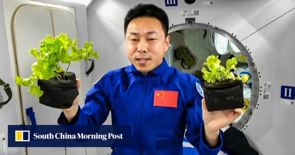 53a4a89a 72fa 4666 8e9f 5e5fdc7325d2 63b15649.jpg