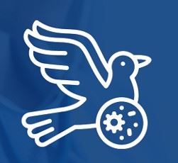 News Flash • Public Health Topic of the Month: Bird Flu Document.jpeg