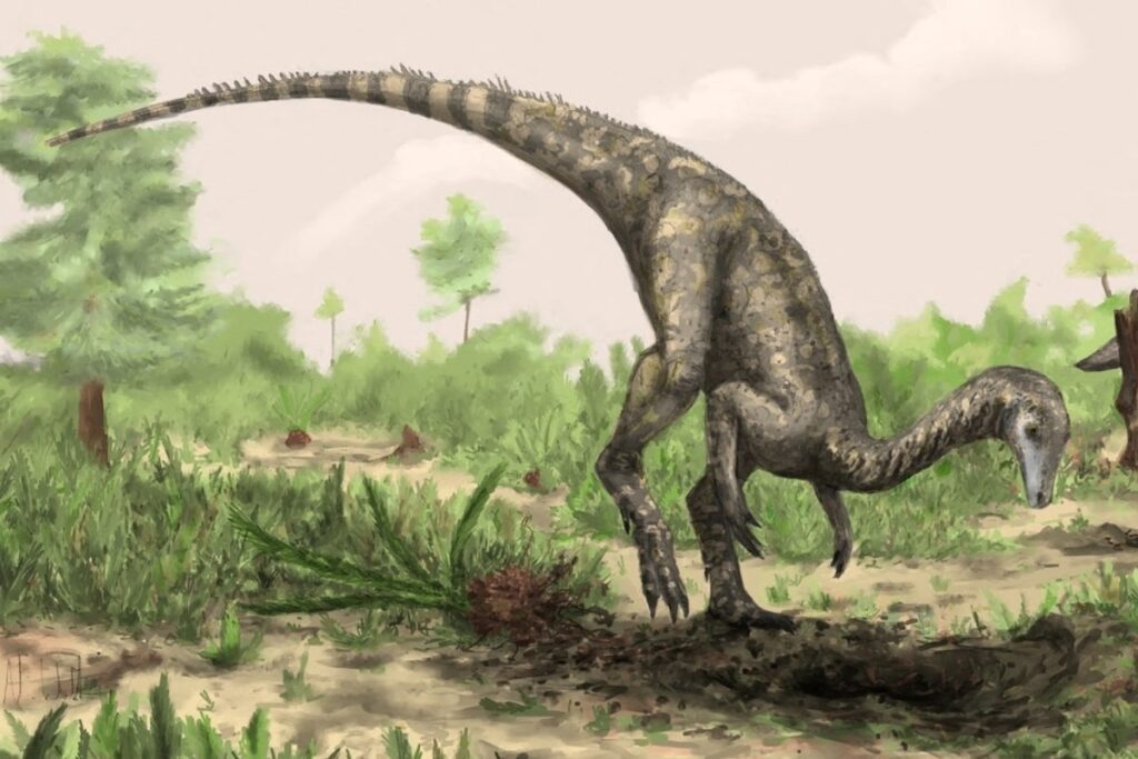 Where did dinosaurs first evolve? Scientists are proposing a surprising location Wizmjyk7yjed3g6grhwrmc5rwe.jpg