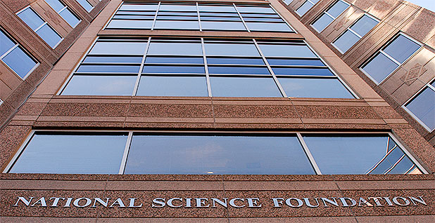 National Science Foundation cancels grant review panels, alarming scientists E9546f85ce3349cf963f53ae5874233c.jpeg