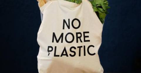 Cultivating plastic-free lifestyle People Taking Community Action 4909769 20250121083328.jpg