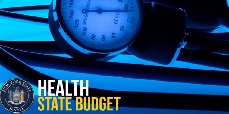 Joint Senate-Assembly hearings on Governor Hochul’s 2025-2026 Executive Budget proposal continue on Tuesday ~ Topic: Health/Medicaid ~ Watch here beginning at 9:30AM Health 2024.jpg