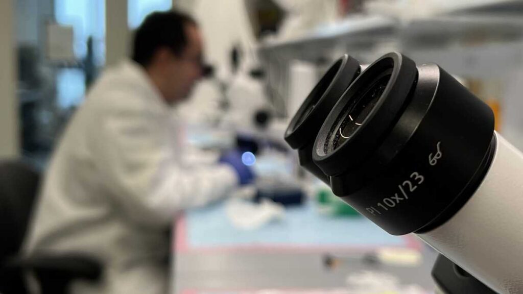 Uvm R1 Research 67ae543e1c912.jpeg