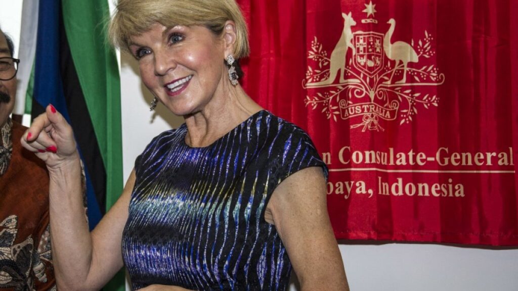 UN urged to probe Myanmar envoy Julie Bishop over alleged China firms ties | United Nations News 000 1852qi 1741683366.jpg