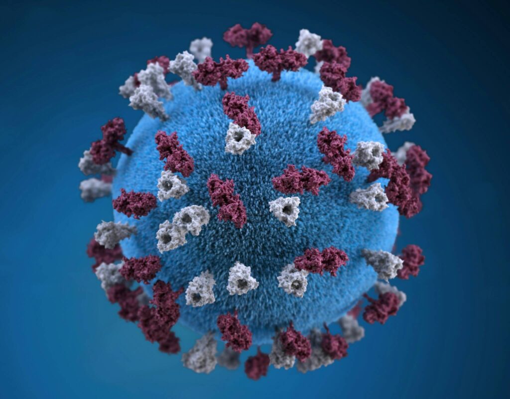 Public health hot topic: Measles outbreaks 38869810 web1 measles iwk 250318 measles 1.jpg