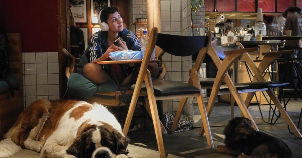 67cb2460a9521.image .jpg