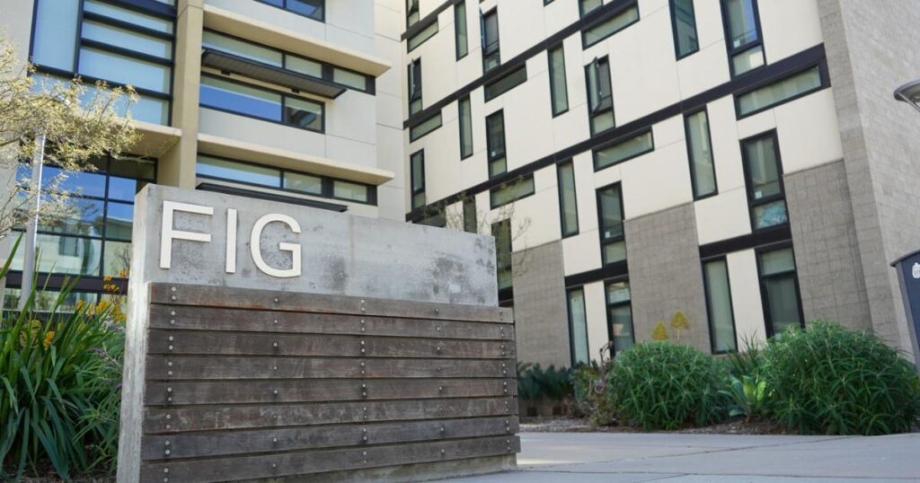 67ce8d24a4a8d.image .jpg