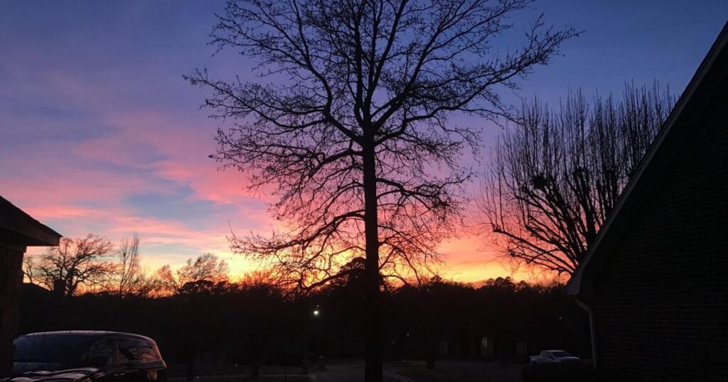 67ddb79b498a2.image .jpg