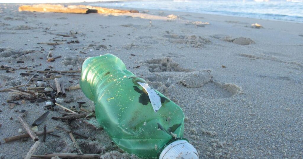 67e407d44cb38.image .jpg