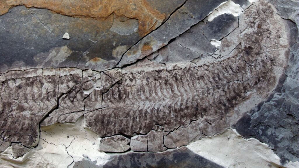 Gugvyujlnhqhrgmgemje7t 1200 80.jpg