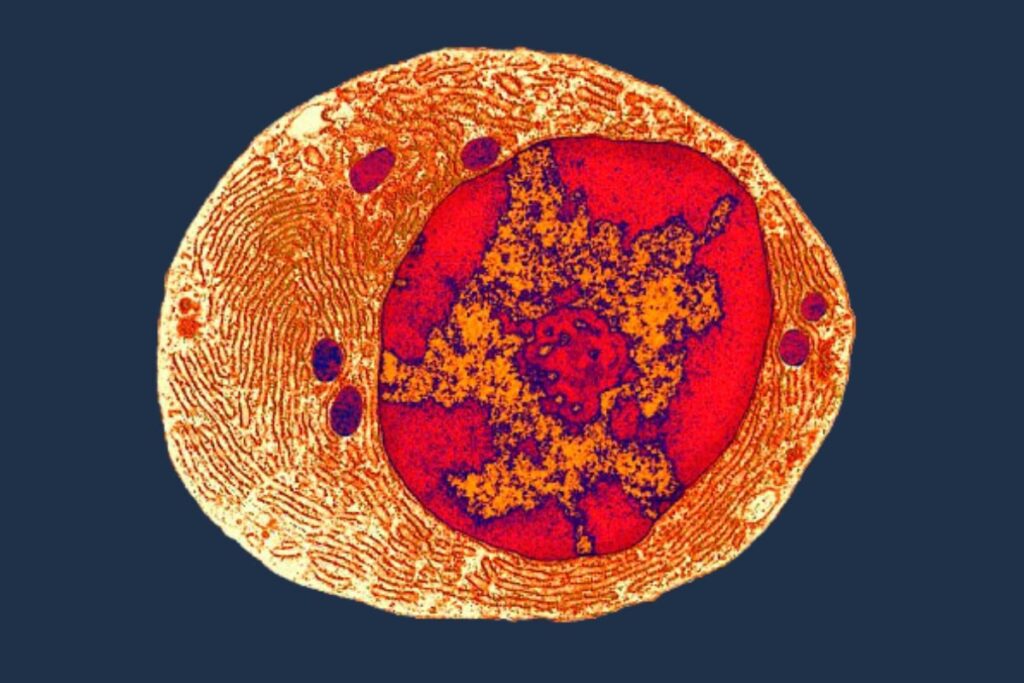 LUCA Is Much Older Than Scientists Thought Luca is much older than scientists thought.jpg