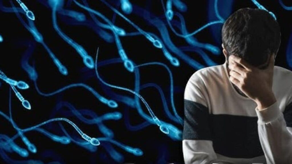 Representational image 2025 03 29t174126.513 2025 03 90c73434f781e7f0d507366b0023e029.jpg