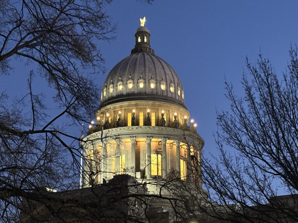 Statehouse by dawn ii 2.21.25.jpg