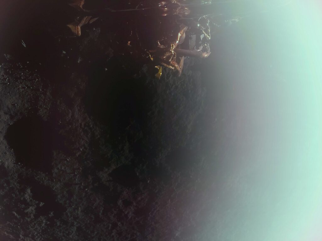 Touchdown! Carrying NASA Science, Firefly’s Blue Ghost Lands on Moon Blue Ghost First Image 1.jpg