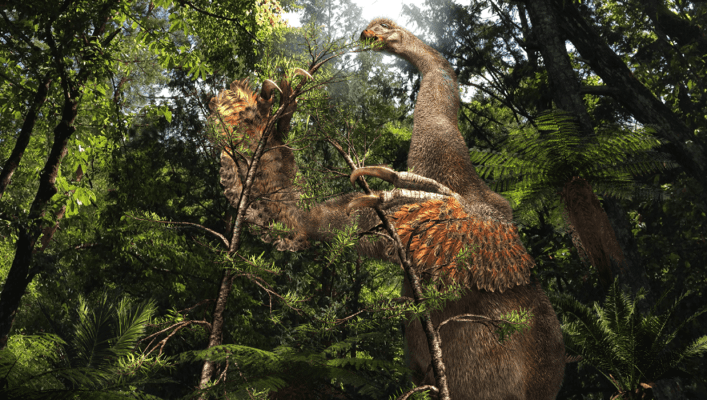 Duonychus tsogtbaatari meta.png