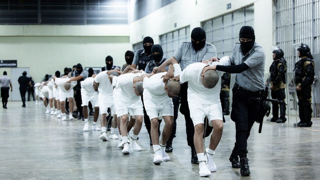 Gettyimages 2205557653.jpg