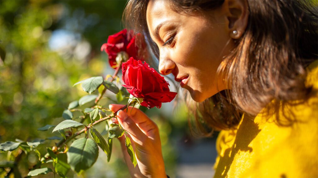 041725 sg uncertainty feat.jpg