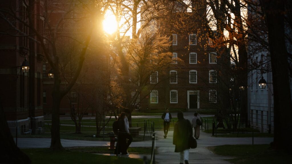 83155982007 2210118600.jpg