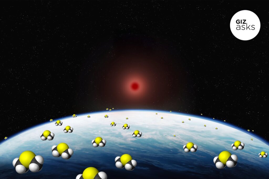 Gizmodo top art dimethyl sulfide.jpg