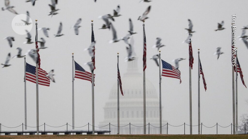 D41586 025 01031 0 50815860.jpg