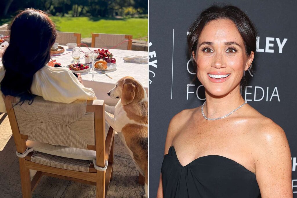 Meghan markle as ever bts mia paley center fall gala 2024 033125 fd815a65189644b7a90f423ec720b32d.jp .jpeg