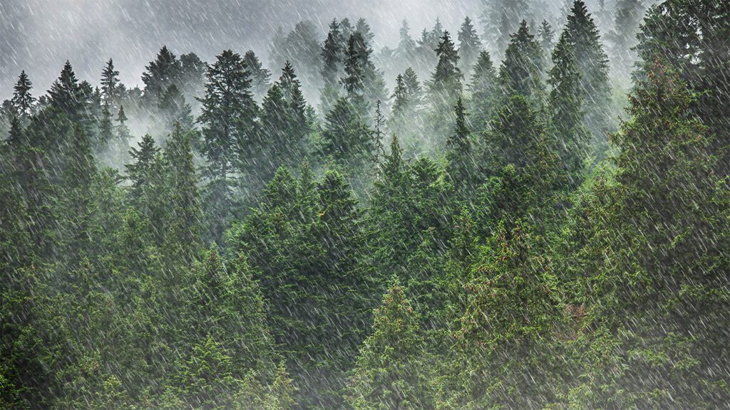 050725 no rain bioparticles feat.jpg