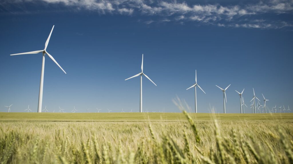 107070422 1654190660369 gettyimages 84304320 ti0701322.jpeg