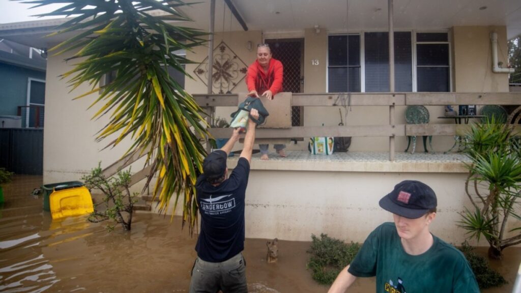 13072506 1747981057.jpg