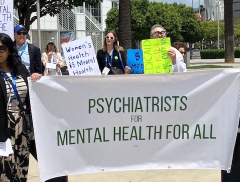 This May Be a Landmark APA Annual Meeting: From Lifestyle to Rallying 13e2611a210f3c7668779da0c1dec5c7cd5440bd 480x364.jpg