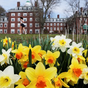 Valley News – Column: The cracked crucible of higher education 50201930.jpg