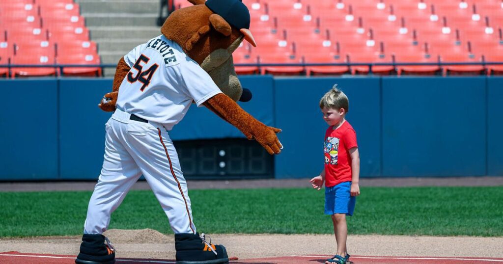 682ca133ef026.image .jpg