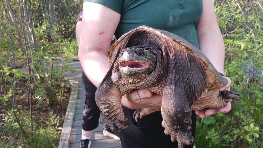 83611737007 fd 9 a 11 acd 5 c 84755 a 6717 b 05 e 4 f 18873.jpg