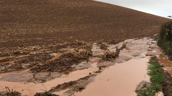Soil health issues causing faster rainfall runoff and higher flood risk, research shows Heavy rain on steep slopes and bare compacted fields causes runoff and other problems 560x315.webp.webp